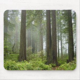 Rotholz-Nationalpark Mousepad