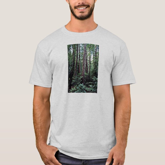 Rothölzer - Muir Holz-nationales Monument T-Shirt (Vorderseite)