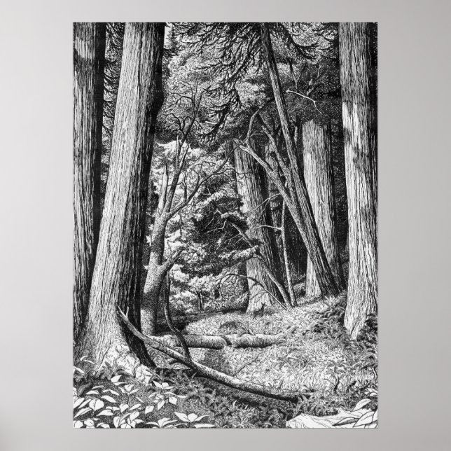 Rotholzpark Poster (Vorne)