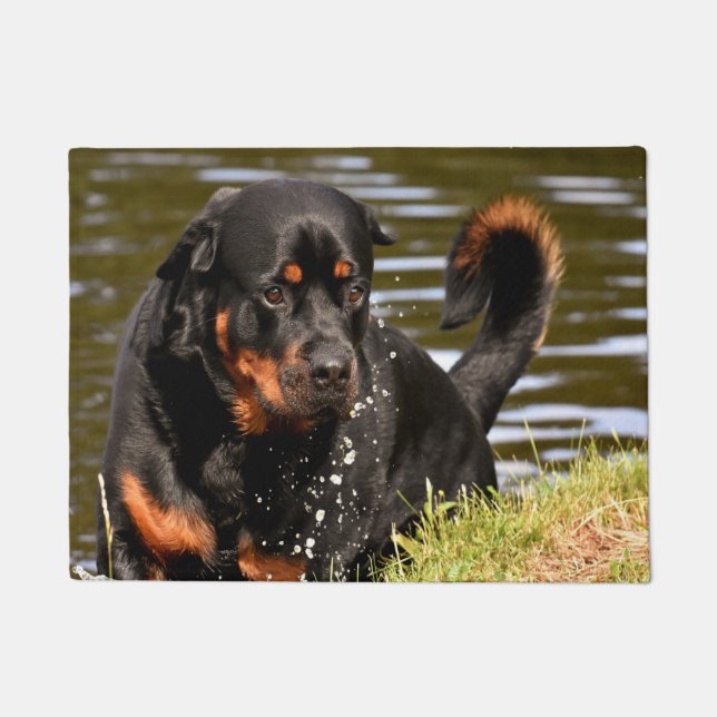 Rothweiler Dog Fußmatte (Vorderseite)