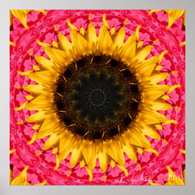 Rotierende Sonnenblume Poster (Vorne)