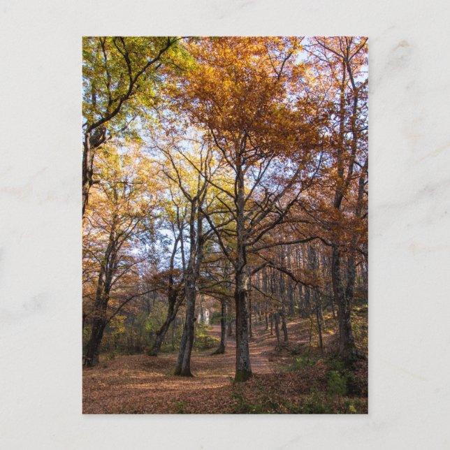 Rotino, Mazedonien Postkarte (Vorderseite)