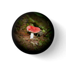 Rotkapp-Täubling-Pilz