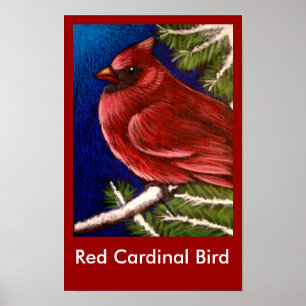 ROTKARDINAL-VOGEL Poster