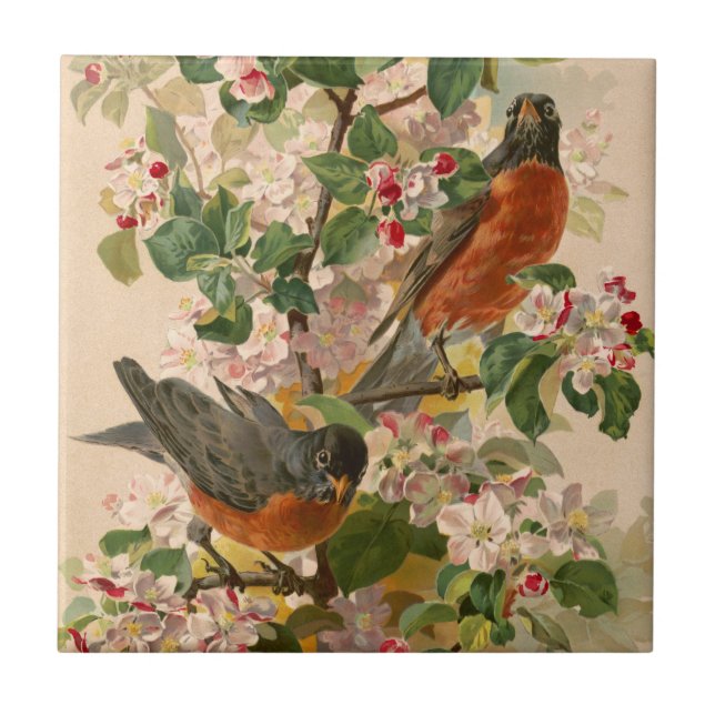 Rotkehlchen 1896 fliese (Vorderseite)