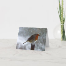 Rotkehlchen auf Winter-Feiertagskarte
