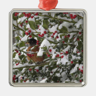 Rotkehlchen, das sich nach Schneefall in einer Ste Ornament Aus Metall