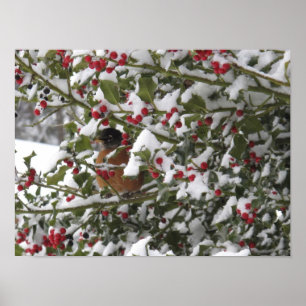 Rotkehlchen, das sich nach Schneefall in einer Ste Poster