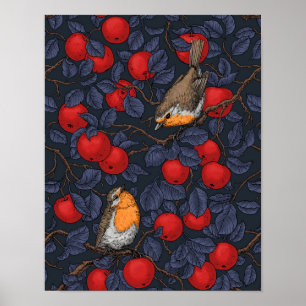Rotkehlchen im Apfelbaum/Blau und Rot Poster