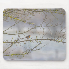 Rotkehlchen-Mausmatte Mousepad