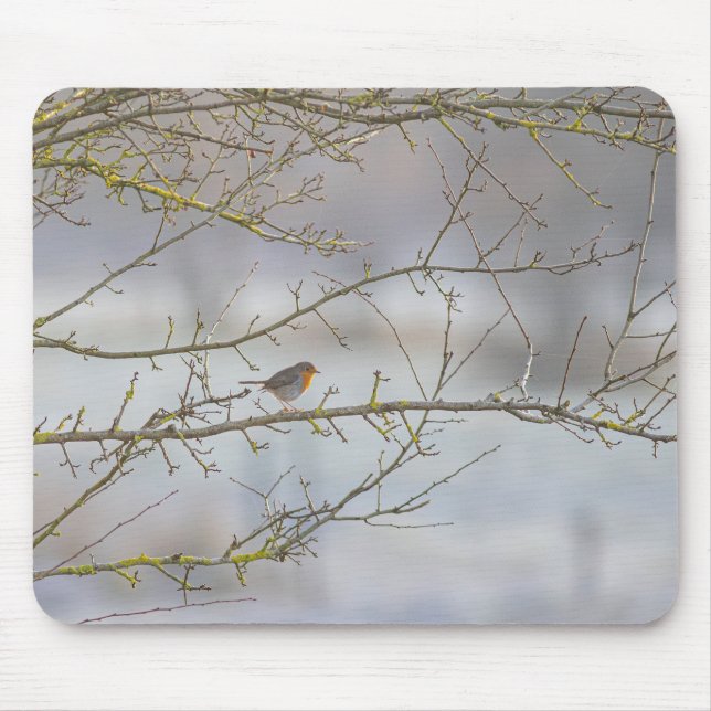 Rotkehlchen-Mausmatte Mousepad (Vorne)