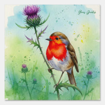 Rotkehlchen und Distelblüten - Botanisches Aquarel