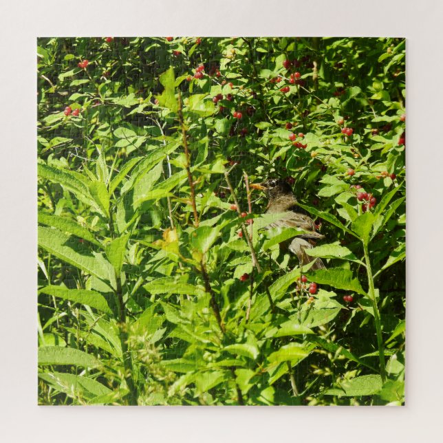Rotkehlchen versteckt sich puzzle (Vertikal)