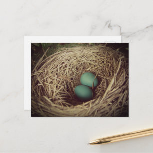 Rotkehlcheneier im Nest Postkarte