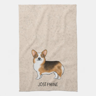 Rotköpfiger dreifarbiger Pembroke Welsh Corgi mit Geschirrtuch