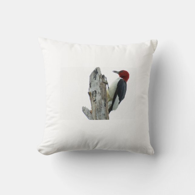 Rotkopfspecht Kissen (Vorderseite)