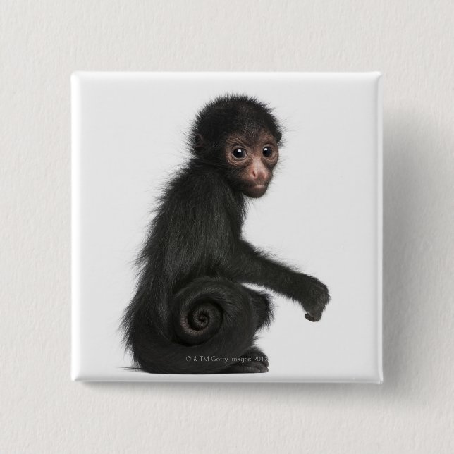 Rotkopfspinne - Ateles paniscus (3 Button (Vorderseite)