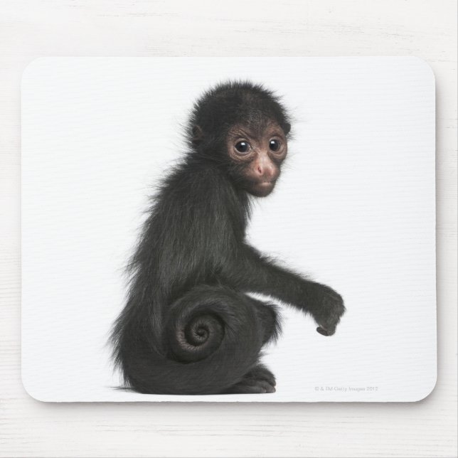 Rotkopfspinne - Ateles paniscus (3 Mousepad (Vorne)