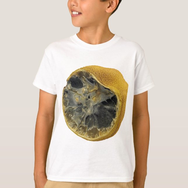 Rotlachs T-Shirt (Vorderseite)