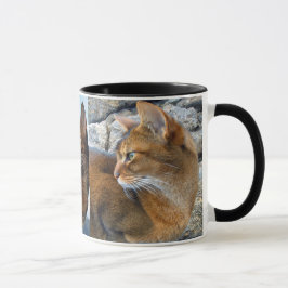 Rötliche abyssinische weibliche Katze Tasse
