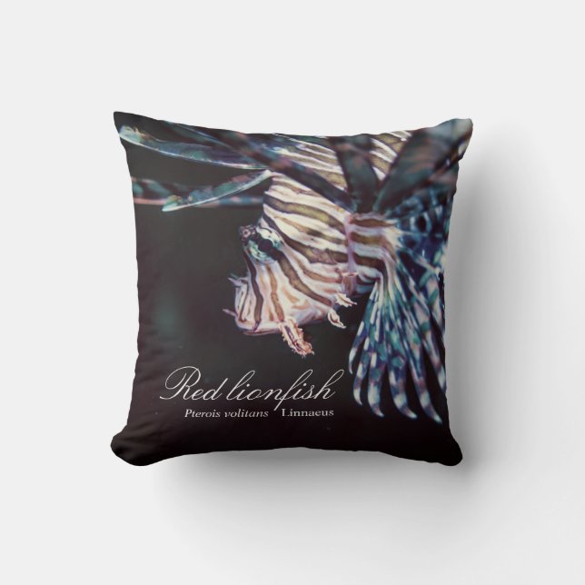 Rotlionfisch (Pterois volitans, Linnaeus, 1758) Kissen (Vorderseite)