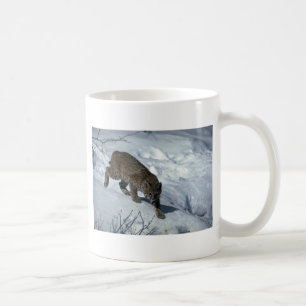 Rotluchs auf Schnee Kaffeetasse