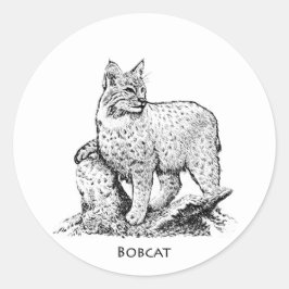 Rotluchs-Illustration Runder Aufkleber
