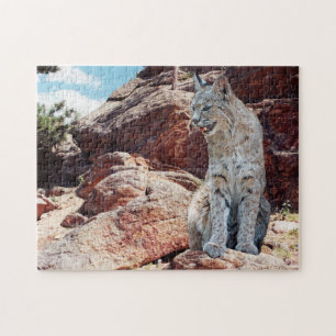 Rotluchs ruht zwischen Felsen in den Bergen Puzzle