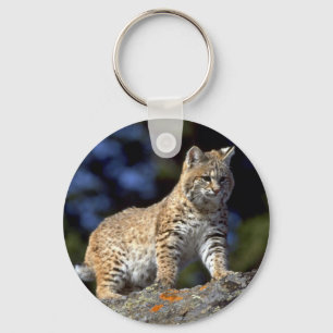 Rotluchs Schlüsselanhänger