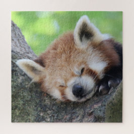RotPanda 2020-03-02 Puzzle