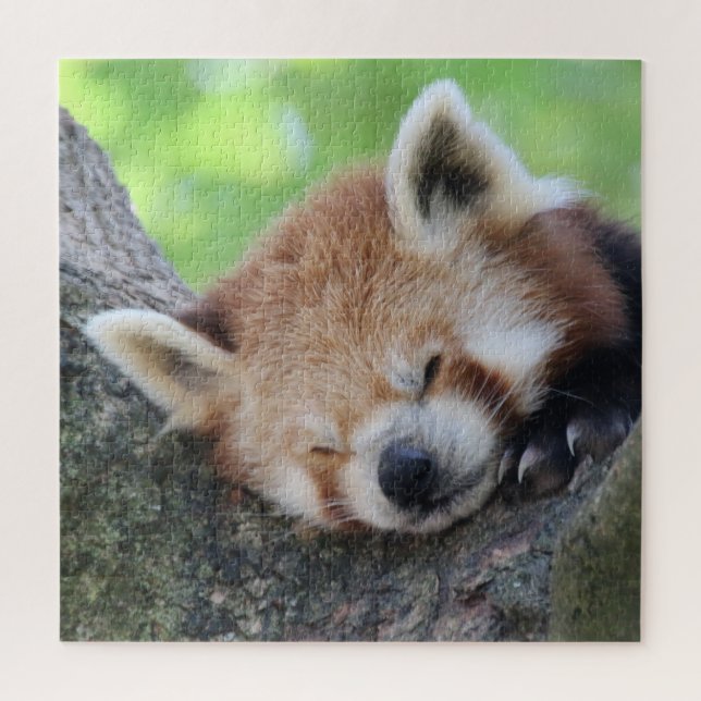RotPanda 2020-03-02 Puzzle (Vertikal)