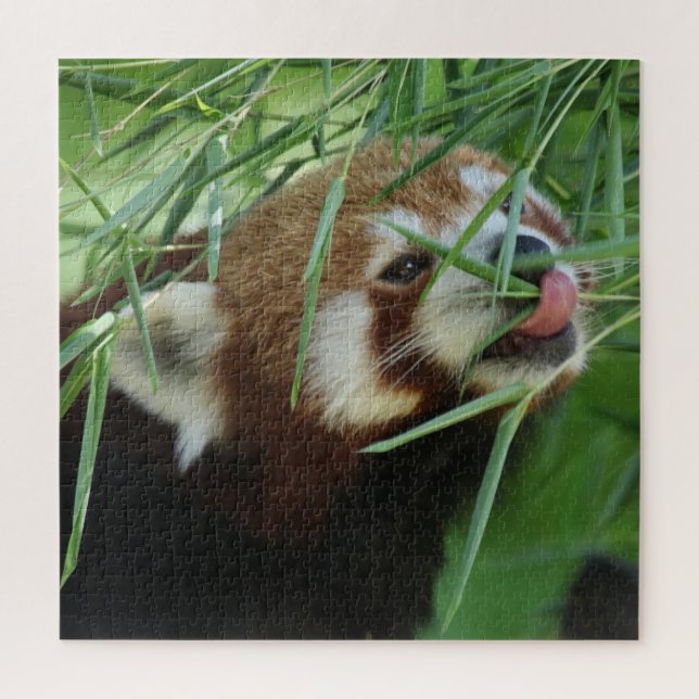 RotPanda 2020-03-03 Puzzle (Vertikal)