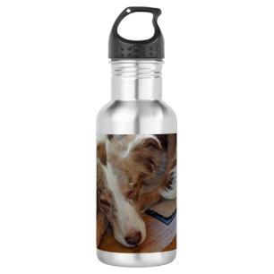 Rotschäfer Edelstahlflasche