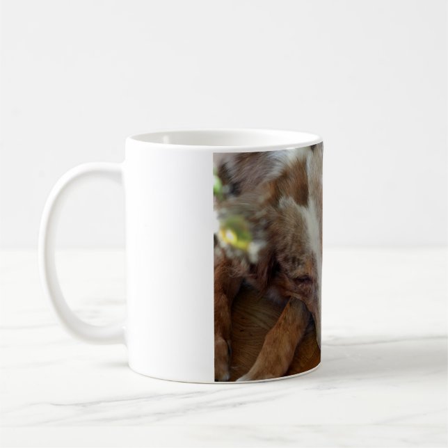 Rotschäfer Kaffeetasse (Links)