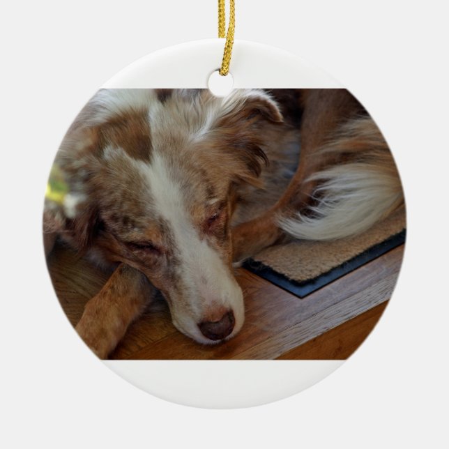 Rotschäfer Keramik Ornament (Vorne)