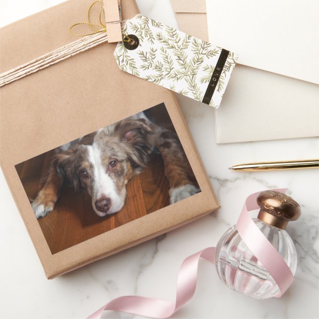 Rotschäfer Rechteckiger Aufkleber (Schenken)