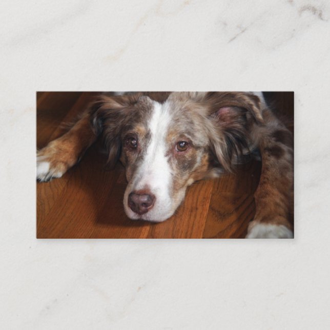 Rotschäfer Visitenkarte (Vorderseite)