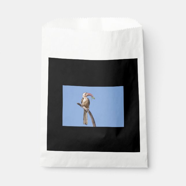 Rotschnabel Geschenktütchen (Vorderseite)