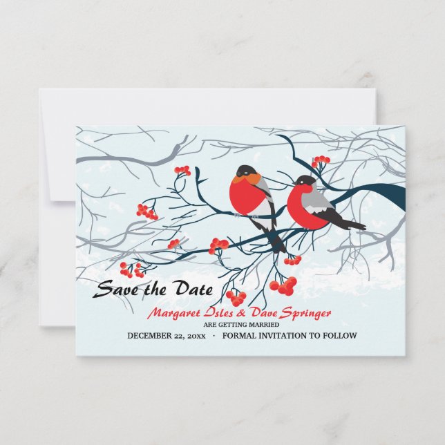 Rotschnabel-Vögel Save the Date Einladung (Vorderseite)