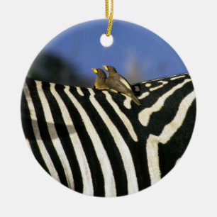 Rotschnabelspecht auf einem Zebra-Rücken - Simbabw Keramik Ornament