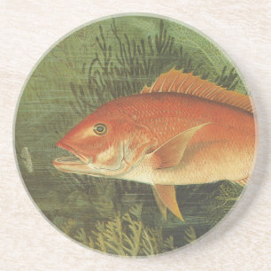 Rotschnappfisch im Ozean, Vintages Leben in der Ma Sandstein Untersetzer