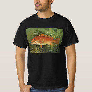 Rotschnappfisch im Ozean, Vintages Leben in der Ma T-Shirt