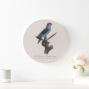 Rotschopf-Lori / Moskulös-Lori Große Wanduhr