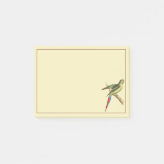 Rotschulter-Sittich Post-it Klebezettel