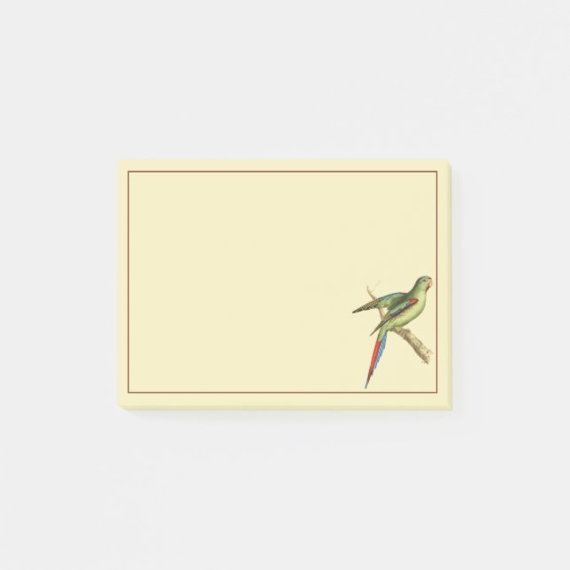 Rotschulter-Sittich Post-it Klebezettel (Vorderseite)