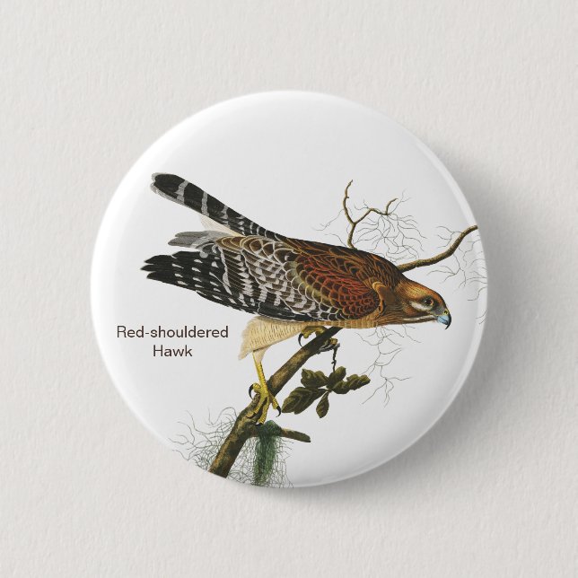 Rotschulterfalken, Audubon, Birdwatchers Vogel Button (Vorderseite)
