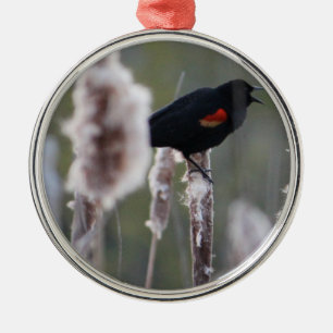 Rotschulterstärling (Agelaius phoeniceus) Silbernes Ornament