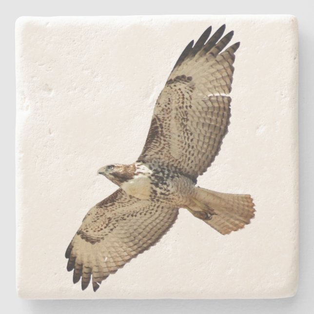 Rotschwanz Hawk Bird Wildlife Stone Untersetzer (Vorderseite)