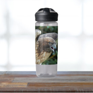 Rotschwanz-Hawk-Foto Trinkflasche