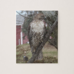 Rotschwanzbussard im Baum  Puzzle
